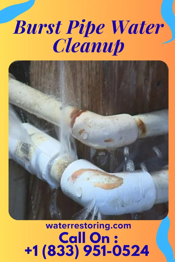 Burst Pipe Water Cleanup in East Hampton North, NY