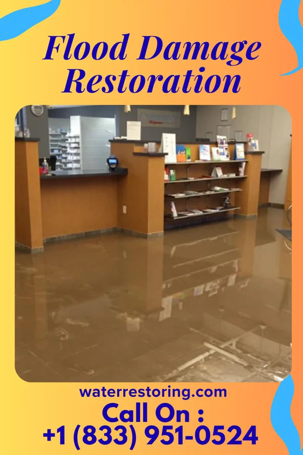 Flood Damage Restoration in East Hampton North, NY