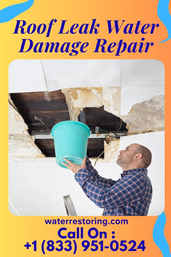 Roof Leak Water Damage Repair in East Hampton North, NY