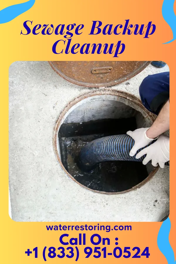 Sewage Backup Cleanup in East Hampton North, NY
