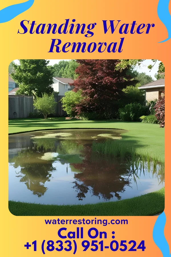 Standing Water Removal in East Hampton North, NY